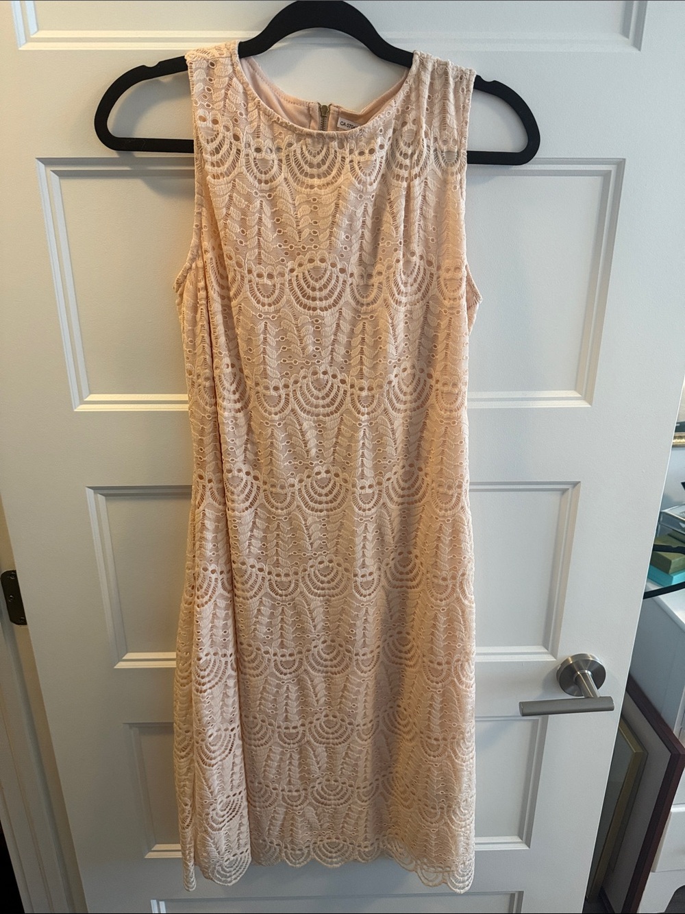 Sleeveless Lace Shift Dress in Blush Pink